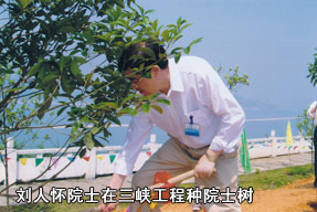 三峽工程會議期間種院士樹
