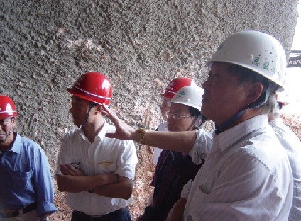 王夢(mèng)恕(右一)聽取工程進(jìn)展情況